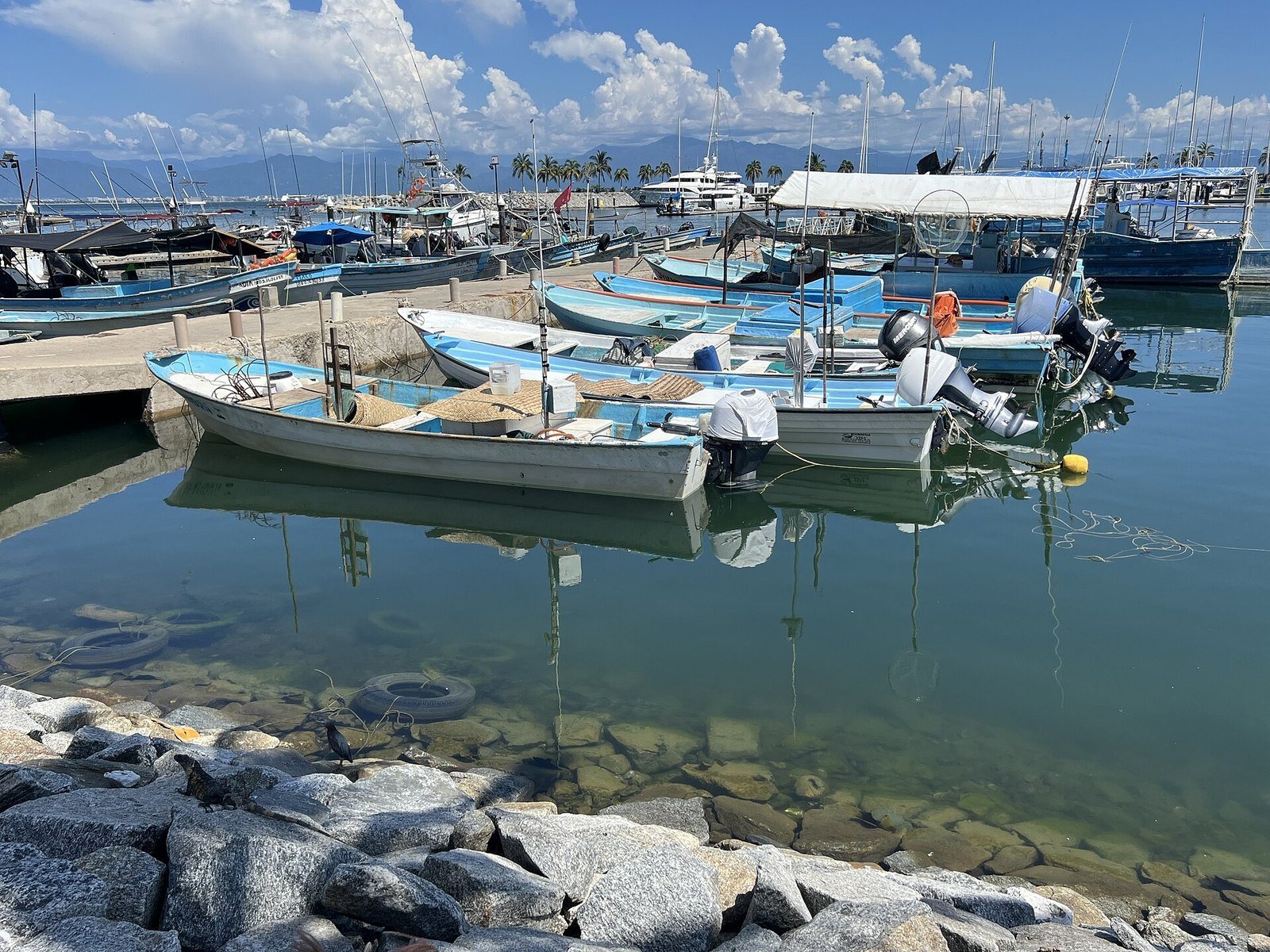 Fishing boats moored at a dock on Banderas Bay, with sailboats in the background