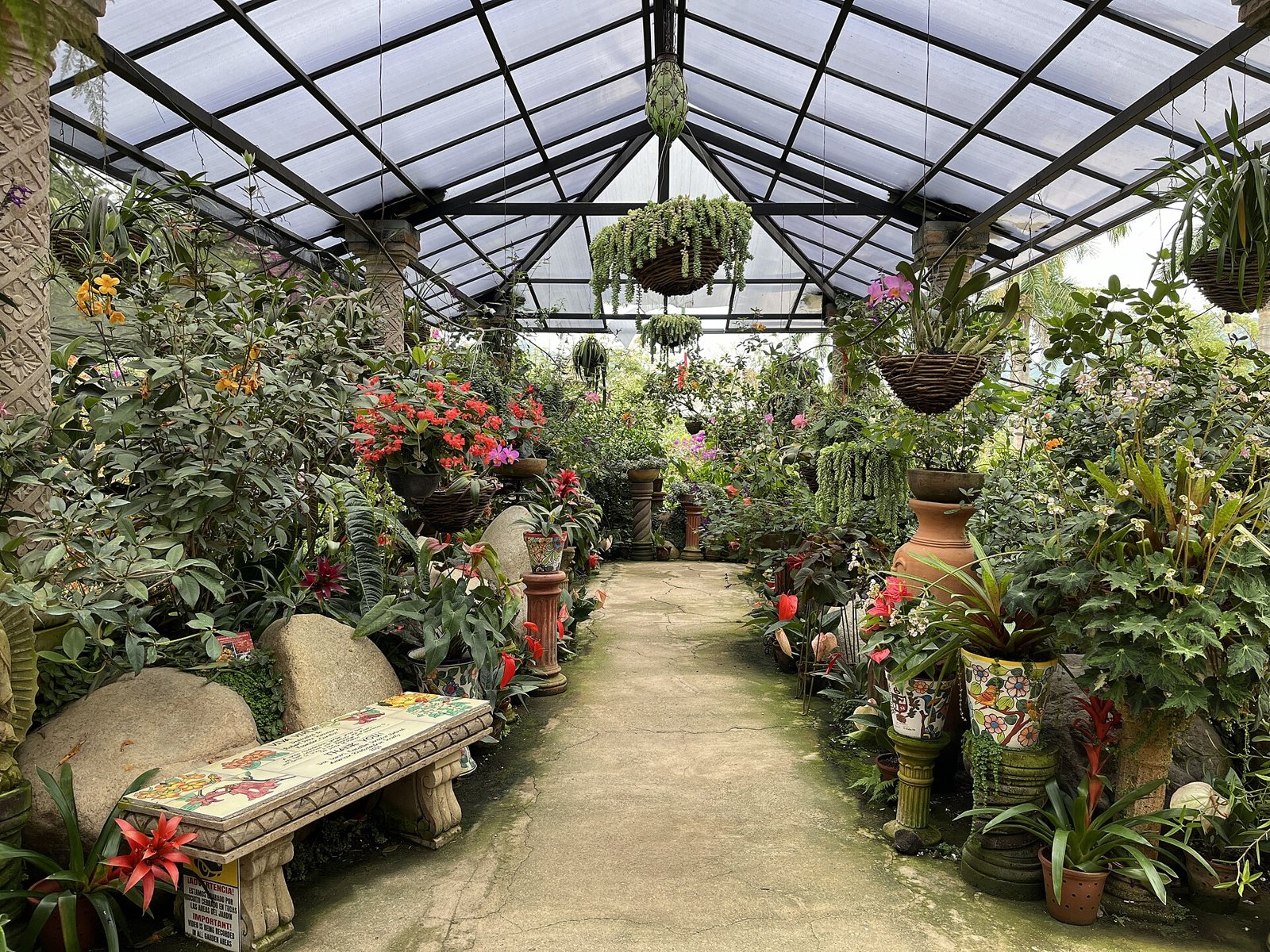 Walkway inside a greenhouse lined with orchids, bromeliads, hanging baskets and a painted tile bench