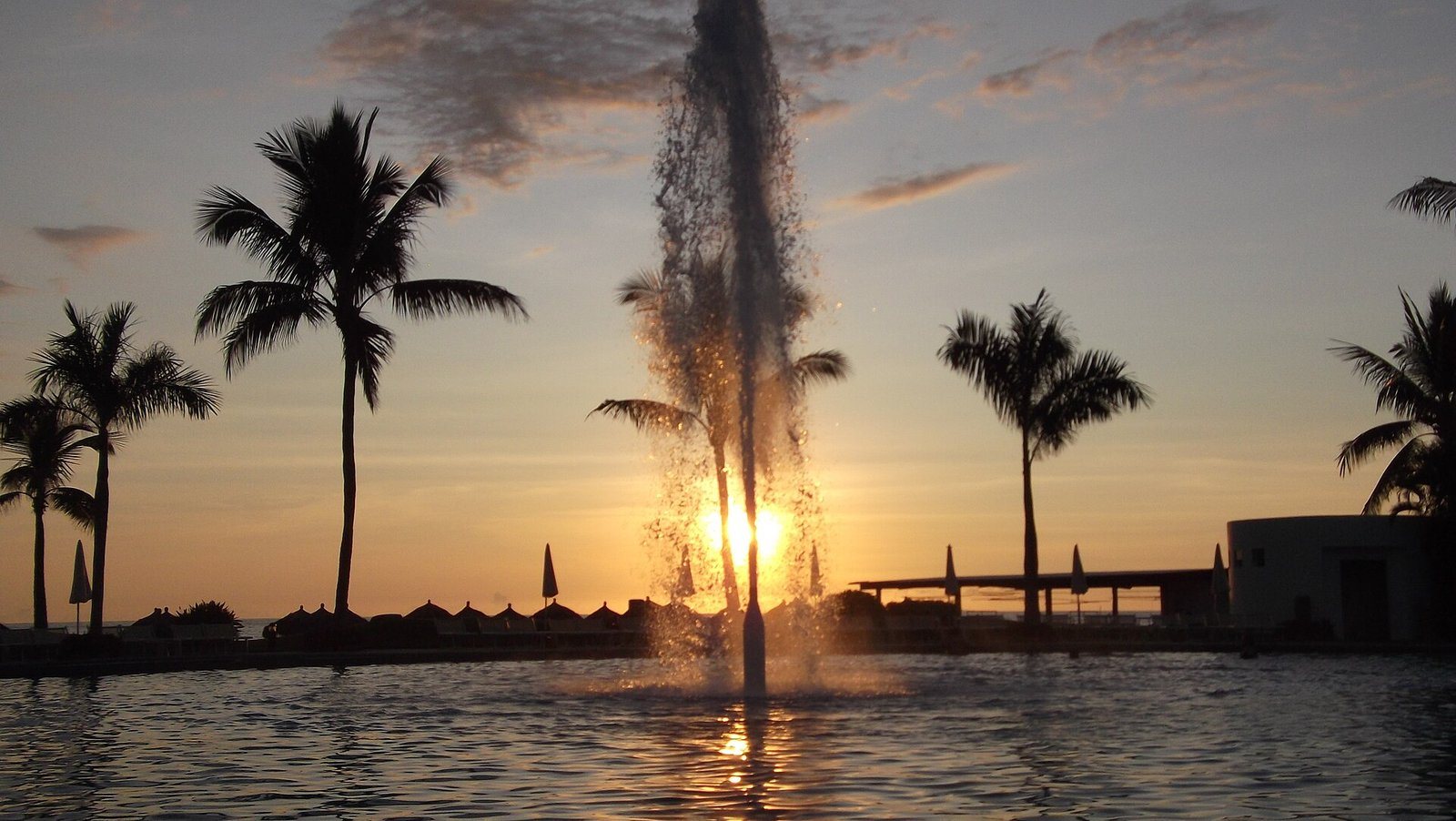Silhouetted palm trees and a fountain in a pool at sunset, with the sun shining through the spray