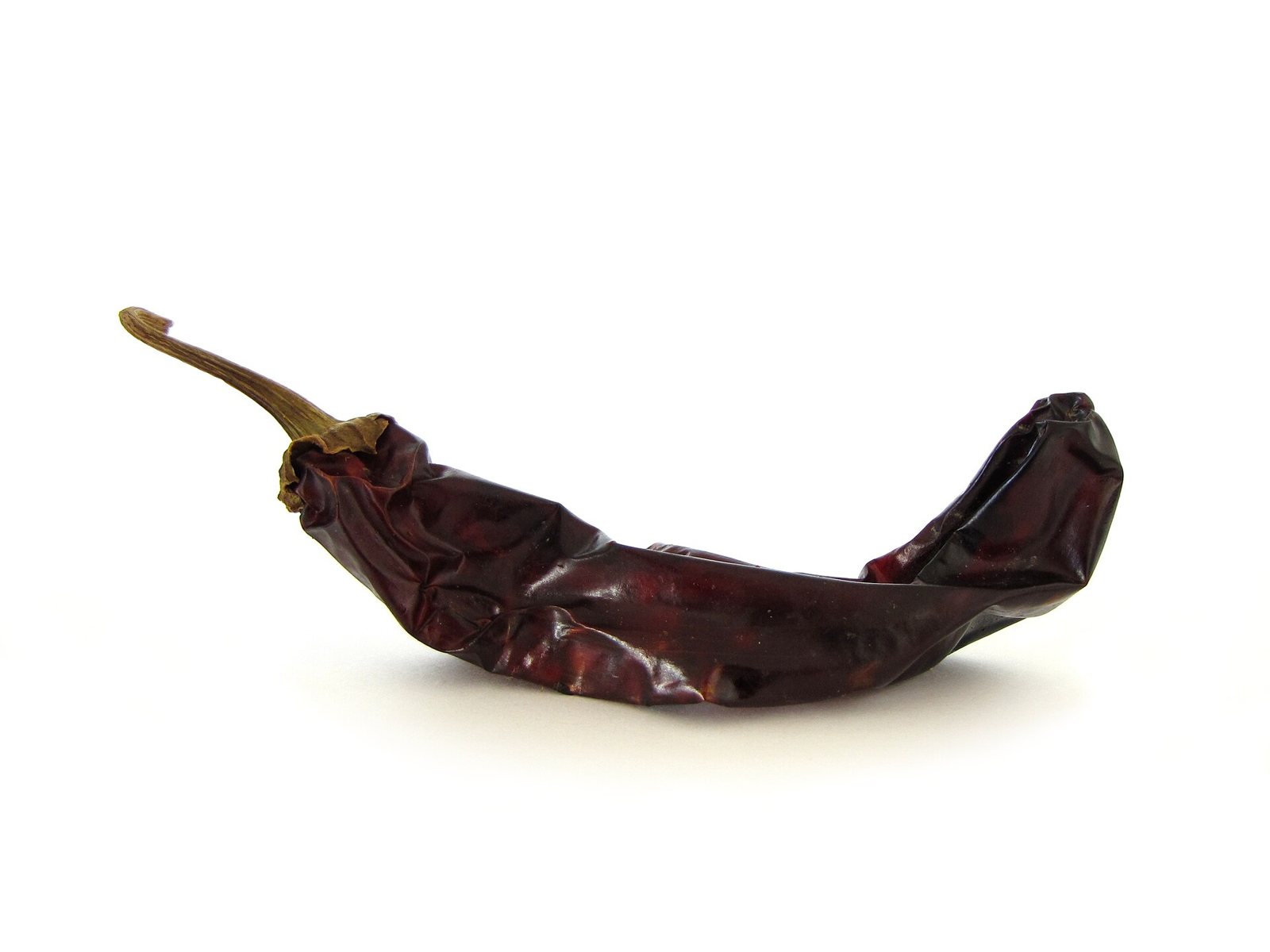 A single dark red dried guajillo chile on a white background