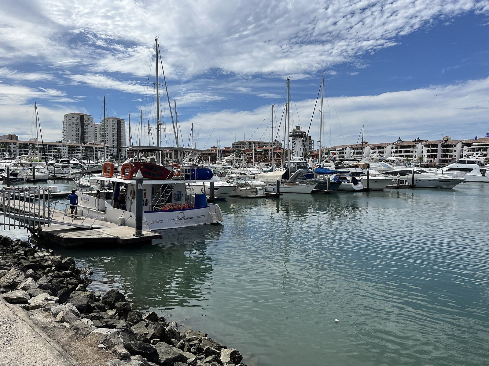 Wooden dock with a tour boat and, behind it, sailboats and yachts in the marina, with buildings and palm trees in the background