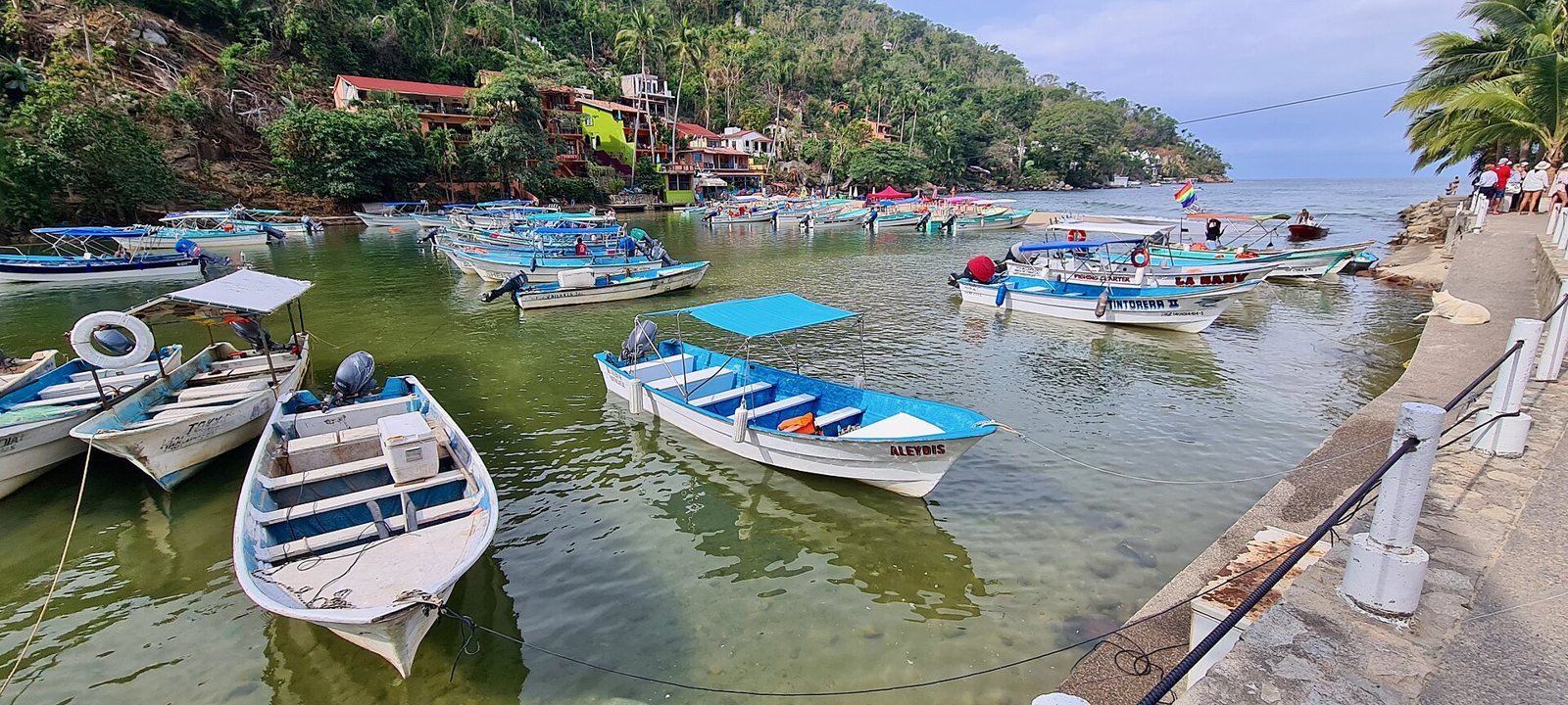 White and blue pangas moored at the river mouth in Boca de Tomatlán, next to a walkway with a railing